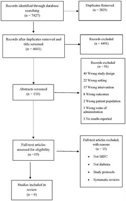 Exploring the option of student-run free health clinics to support people living with type 2 diabetes mellitus: a scoping review